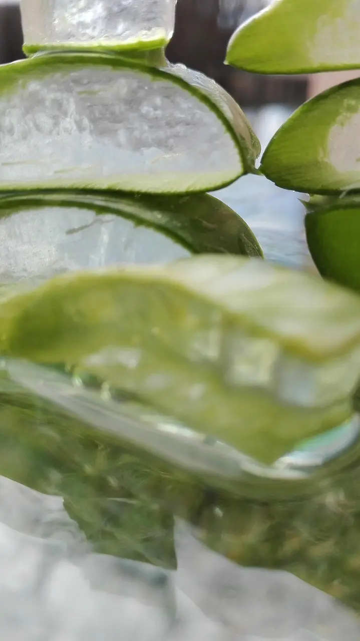 calendula oil vs aloe vera for sunburn summer skincare